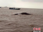 江苏盐城海域两艘渔船相撞已救起6人失踪3人 - 广西新闻网