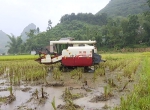 【德保】连日降雨影响夏收 收割机特殊时期大显身手 - 农业机械化信息