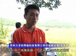 【广西】互联网收割首战告捷 夏收水稻面积已达万余亩 - 农业机械化信息