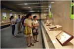 广西自然博物馆《生命之美——走进斑斓的蝴蝶世界》在桂林市博物馆开展 - 文化厅
