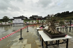 第十届广西（贺州）园林园艺博览会盆景展 - 建设厅