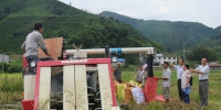 凌云县农机局组织农机开展机收作业 - 农业机械化信息