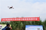 武宣县举办甘蔗生产全程机械化技术培训及现场演示会 - 农业机械化信息