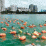 　10月2日，来自全国各地数千名游泳爱好者齐聚广西柳江畅游。　新华社记者 张爱林摄 - 广西新闻