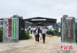 10月13日，与会人员参观天等县驮堪乡南岭村养牛产业项目基地。　黄艳梅 摄 - 广西新闻