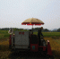 【阳朔】秋收正在进行时 - 农业机械化信息