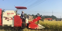 钦南区举办水稻收割机械化演示推广会 - 农业机械化信息