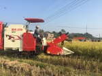 钦南区举办水稻收割机械化演示推广会 - 农业机械化信息