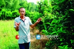 “硕士农夫”阳红星：做一名“现代新型农民” - 广西新闻网