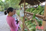图为尚城国际小区设立的无人售卖菜摊，居民在挑选蔬菜 林馨 摄 - 广西新闻