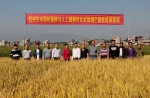 贺州市开展水稻机械插秧与人工抛秧对比试验测产验收工作 - 农业机械化信息