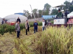 崇左市农机技术人员到宁明县指导水稻秋收 - 农业机械化信息