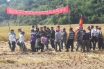 浦北县举办晚造水稻机械收割现场演示会 - 农业机械化信息