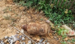 村民家门前发现生锈金属物 惹来“炸弹”虚惊 - 广西新闻网