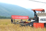 钦北区举办2017年水稻晚造机械化收获现场培训会 - 农业机械化信息