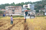 钦北区举办2017年水稻晚造机械化收获现场培训会 - 农业机械化信息