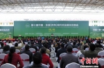 第十届中国—东盟（百色）现代农业展示交易会开幕 - 广西新闻