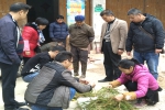 灵山县开展水稻机械直播技术测产验收活动 - 农业机械化信息