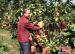 中国农村创新创业风生水起新型农民助力乡村振兴 - 广西新闻