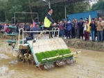 平南县举办水稻机插秧农机与农艺相融合技术现场观摩会 - 农业机械化信息