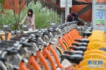 （XHDW）（1）福建泉州：创新运营模式 提升公共自行车服务 - 广西新闻网