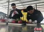 探访中国首个边贸国检试验区改革监管促贸易火热 - 广西新闻