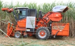 罗城甘蔗机械化收割 助推“甜蜜”事业发展 - 农业机械化信息