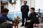 铁路民警与猎犬成亲密“战友”守护西南出海通道 - 广西新闻