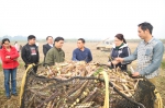龙州县农机局举办小规模经营农户甘蔗机收现场会 - 农业机械化信息