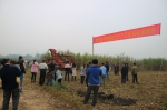 龙州县农机局举办小规模经营农户甘蔗机收现场会 - 农业机械化信息