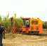 广西农机鉴定站对湖北神誉重工甘蔗收获机开展鉴定检测工作 - 农业机械化信息