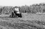 《左江日报》：【宁明】让农机变得更“聪明 - 农业机械化信息