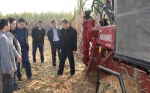 武宣县召开2018年甘蔗机械化收获现场作业演示会 - 农业机械化信息