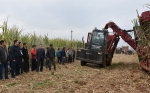 武宣县召开2018年甘蔗机械化收获现场作业演示会 - 农业机械化信息