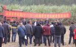 兴宾区甘蔗机收迎来开门红 - 农业机械化信息