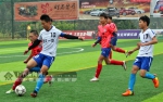 上林县青少年足球精英邀请赛落幕 没有奖金也热闹 - 广西新闻网