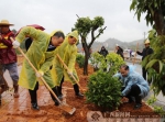 灵山县开展新春植树活动 种植绿化树苗600多株 - 广西新闻网