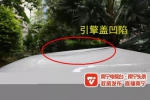 女子酒后怒砸前男友"大奔" 原来这辆车是她的…… - 广西新闻网