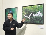 自然摄影师黄嵩和作品在广西博物馆展出 130幅照片尽览“生态四宝” - 文化厅
