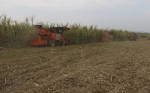 象州县甘蔗机收迎来开门红 - 农业机械化信息