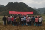 浦北县举办2018年马铃薯机械化收获培训演示会 - 农业机械化信息