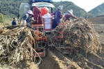 天等县农机局实地指导甘蔗“双高”生产全程机械化种植工作 - 农业机械化信息
