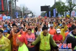 重庆国际马拉松赛开跑 非洲选手包揽男女组冠军 - 广西新闻网