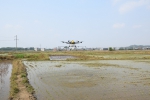 北海市水稻生产全程机械化现场会在合浦县召开 - 农业机械化信息