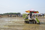 北海市水稻生产全程机械化现场会在合浦县召开 - 农业机械化信息