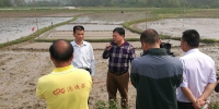 灵山县开展早稻机插秧技术培训 - 农业机械化信息