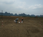 广西农机鉴定站首次开展捡石试验 - 农业机械化信息