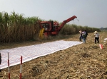 广西农机鉴定站对现代农装科技股份有限公司甘蔗收获机开展委托试验 - 农业机械化信息