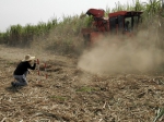 广西农机鉴定站对广西福域智能农业机械有限公司甘蔗收获机开展推广鉴定 - 农业机械化信息