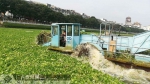 玉林开展南流江水葫芦专项清理打捞行动 - 广西新闻网